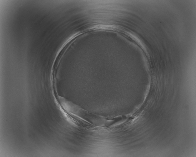 X0000074041050200609061202