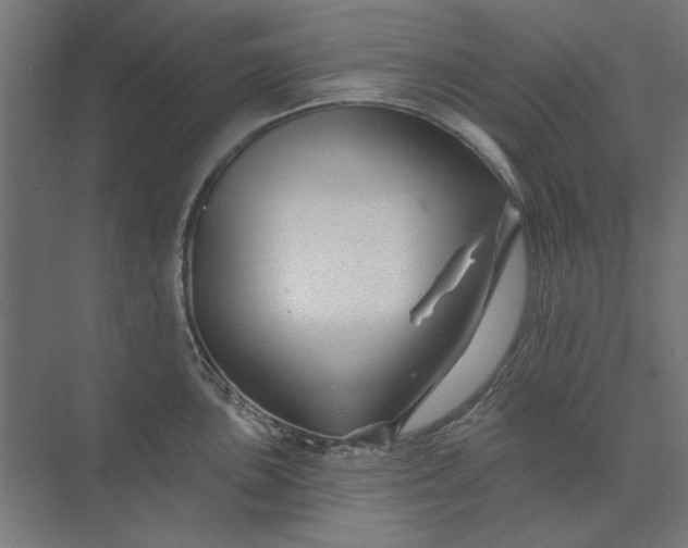 X0000074041051200609061202