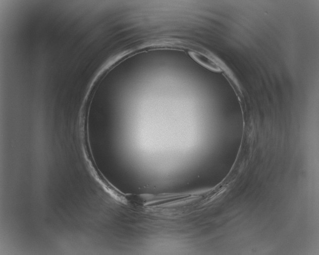 X0000074041053200609061202