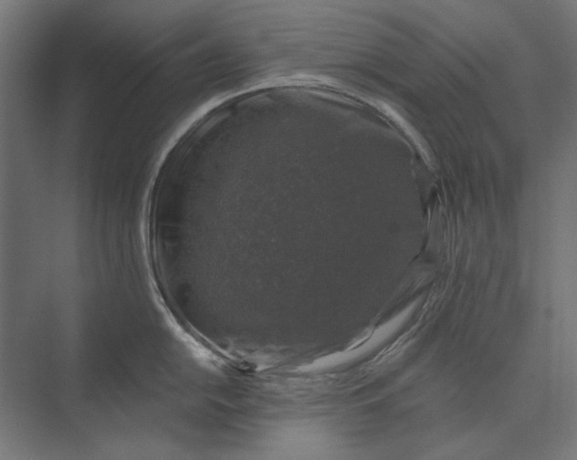 X0000074041054200609061202