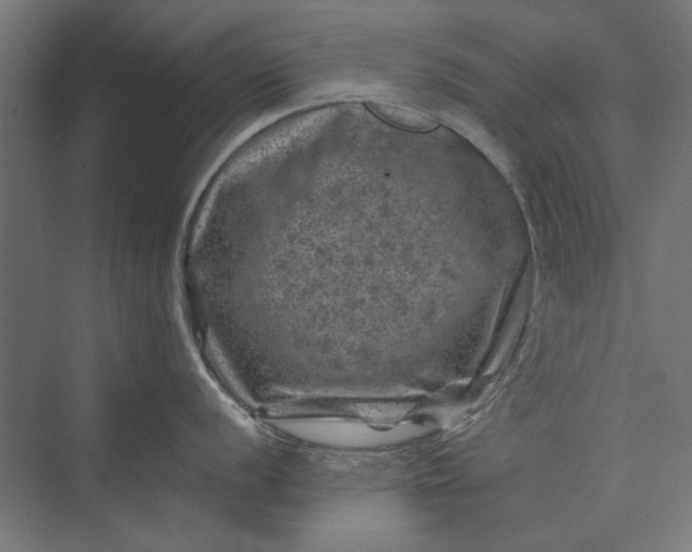 X0000074041056200609061202