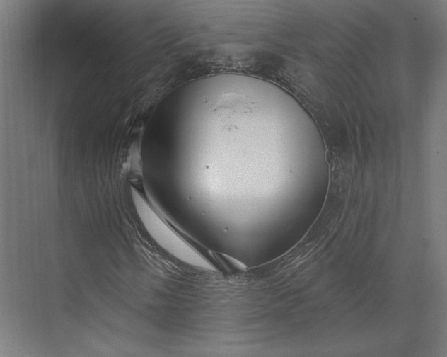 X0000074041058200609061202