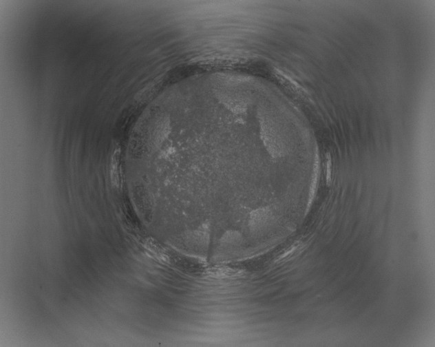 X0000074041059200609061202