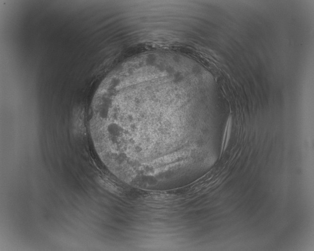 X0000074041060200609061202