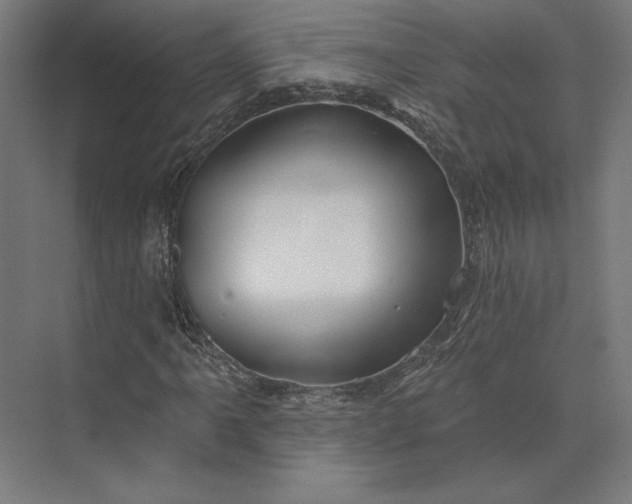 X0000074041061200609061202