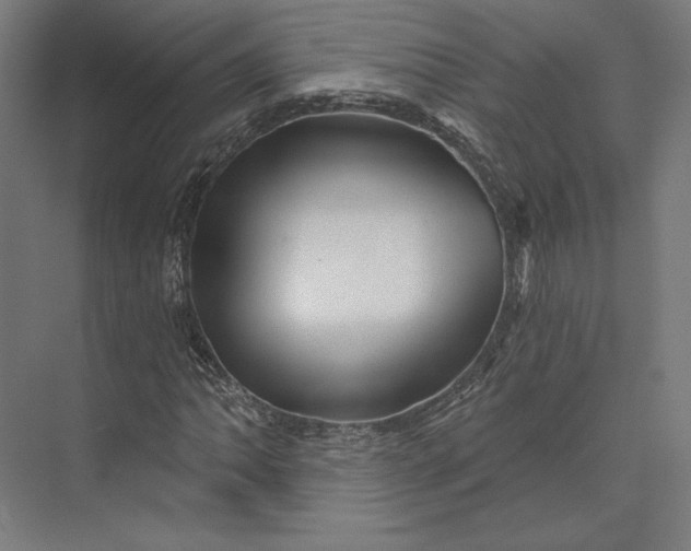 X0000074041062200609061202