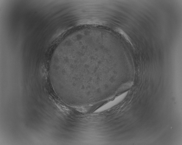 X0000074041064200609061202