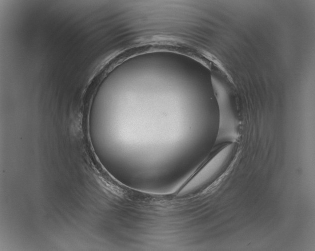 X0000074041066200609061202