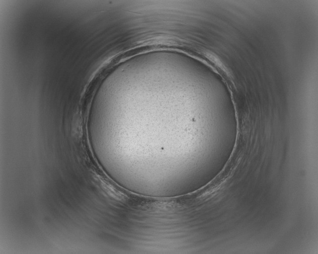 X0000074041067200609061201