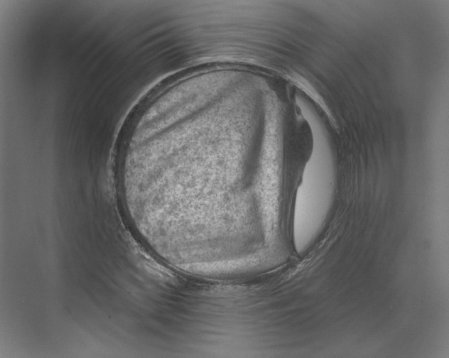 X0000074041068200609061201