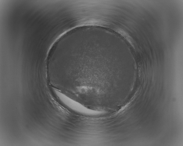 X0000074041069200609061201