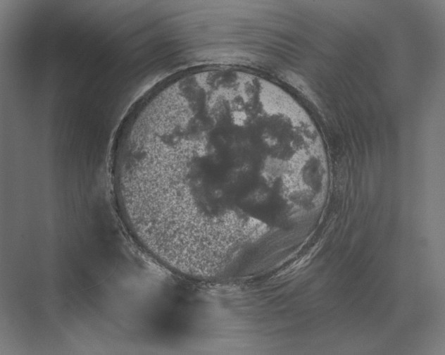 X0000074041071200609061201