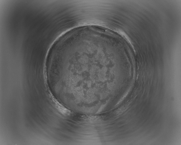 X0000074041072200609061201