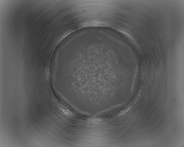 X0000074041073200609061201