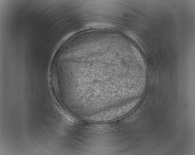 X0000074041074200609061201