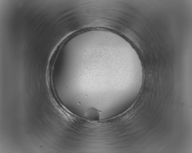 X0000074041076200609061201