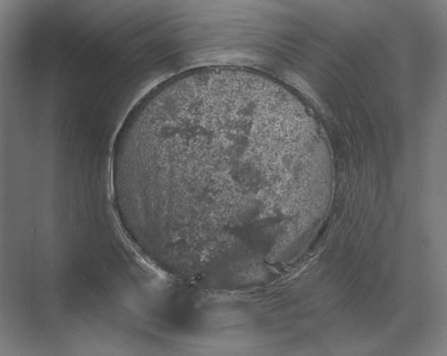 X0000074041079200609061201