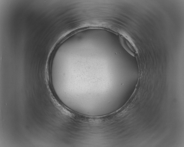 X0000074041080200609061201