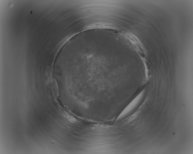 X0000074041081200609061201