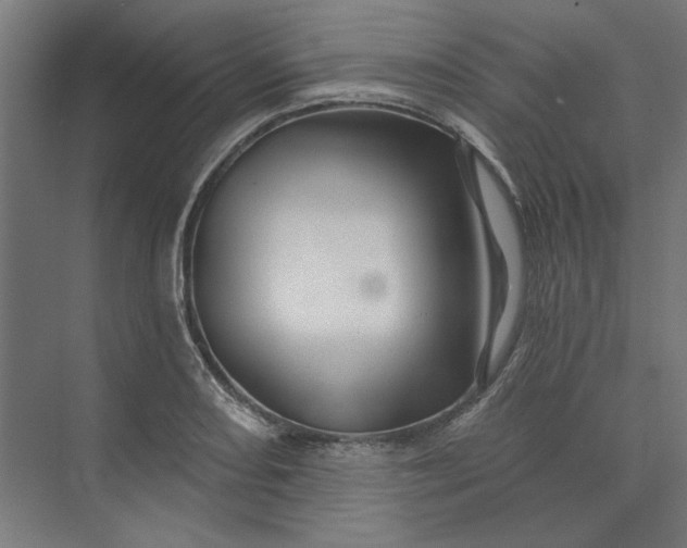 X0000074041082200609061201