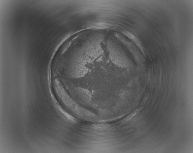 X0000074041083200609061201