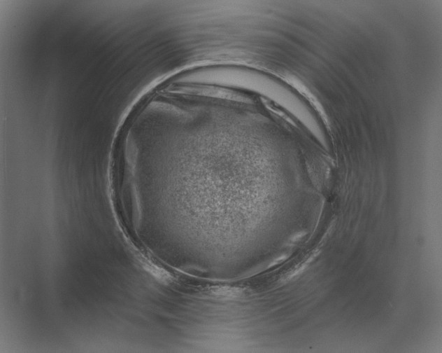 X0000074041085200609061201