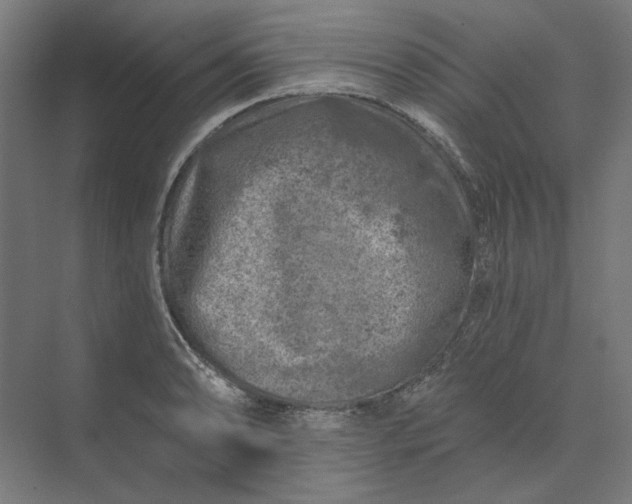 X0000074041086200609061201