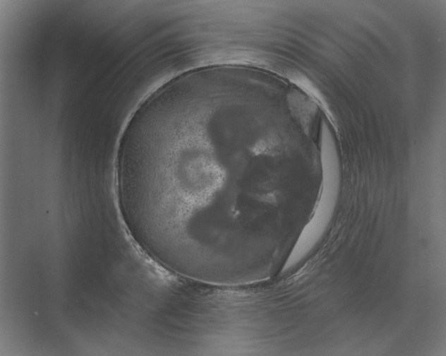 X0000074041088200609061201