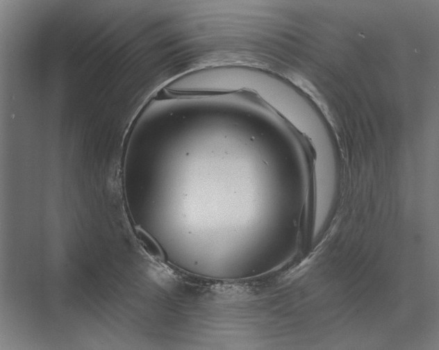 X0000074041089200609061201