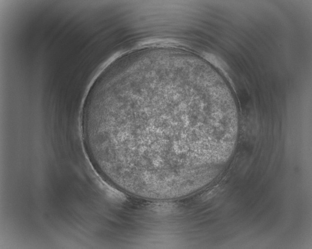 X0000074041090200609061201