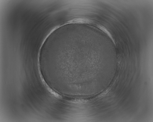 X0000074041091200609061201