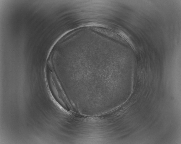 X0000074041092200609061201