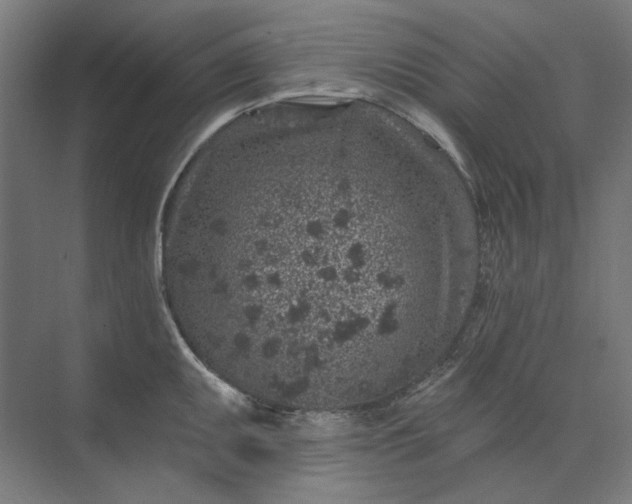 X0000074041095200609061201