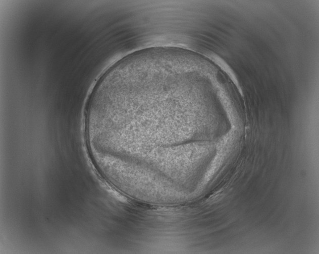 X0000074041096200609061201