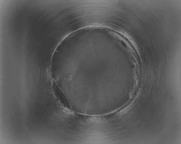 X0000074041097200609061201