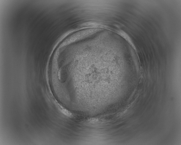 X0000074041098200609061201