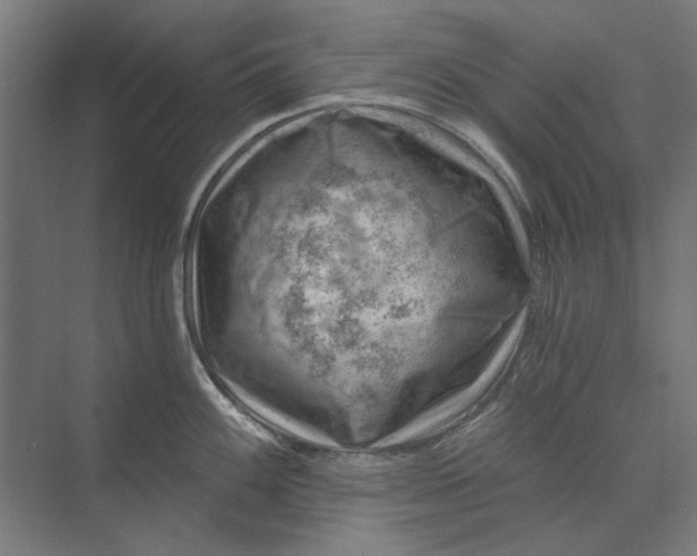 X0000074041100200609061201