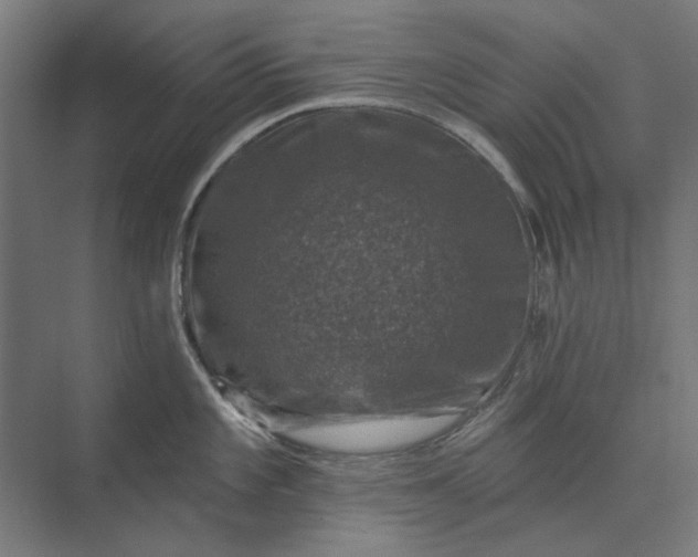 X0000074041101200609061201