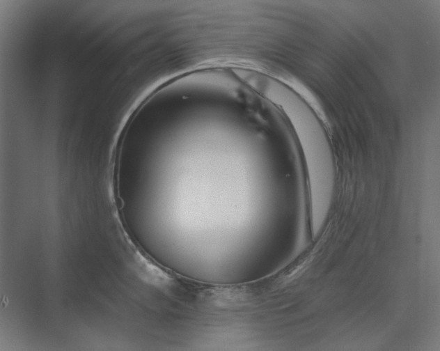 X0000074041102200609061201