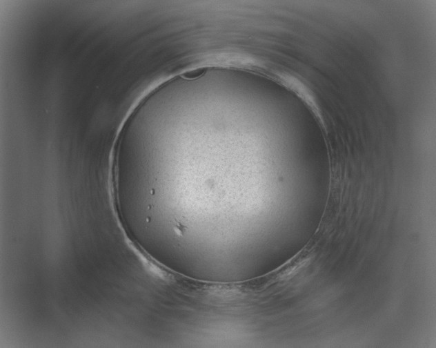 X0000074041103200609061201