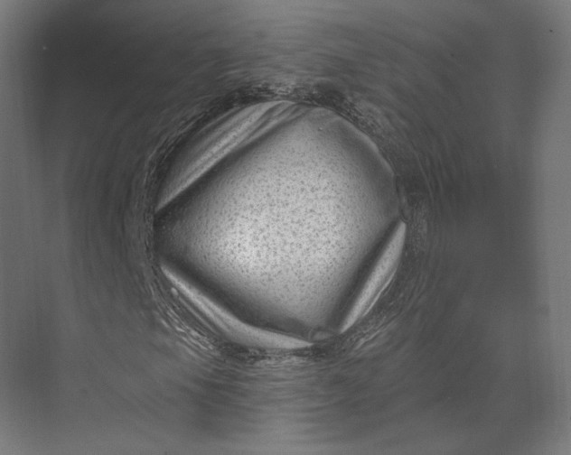 X0000074041105200609061200