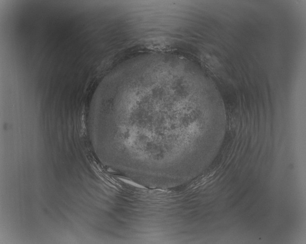 X0000074041106200609061200