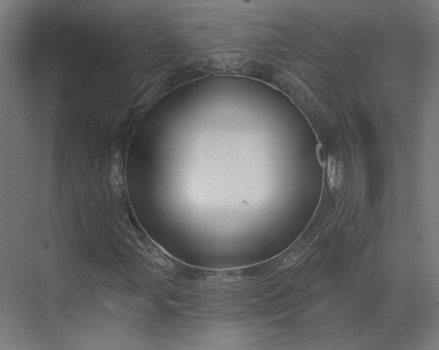 X0000074041107200609061200