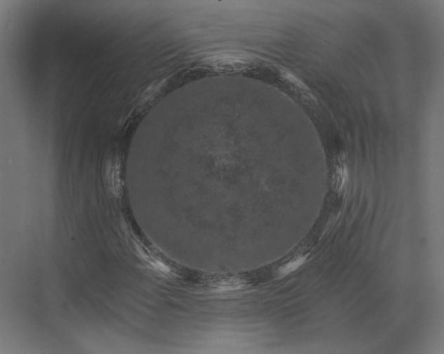 X0000074041108200609061200