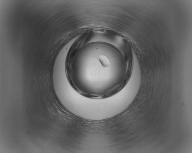 X0000074041110200609061200