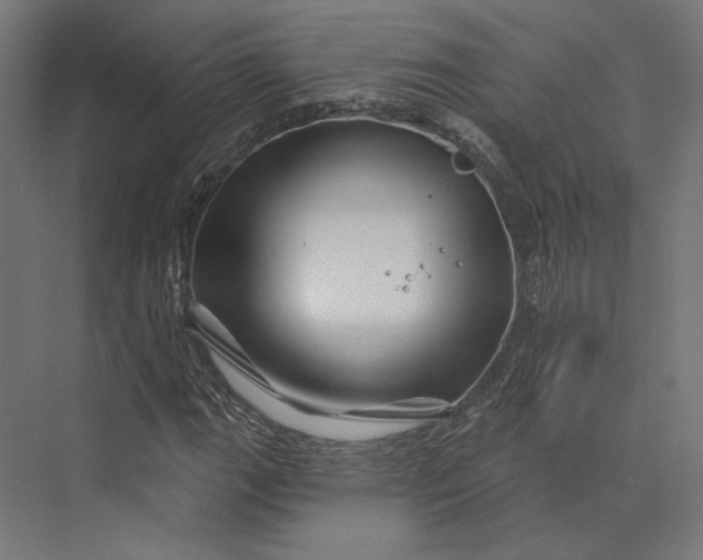 X0000074041111200609061200