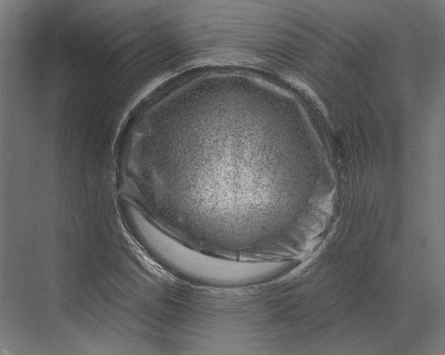 X0000074041114200609061200