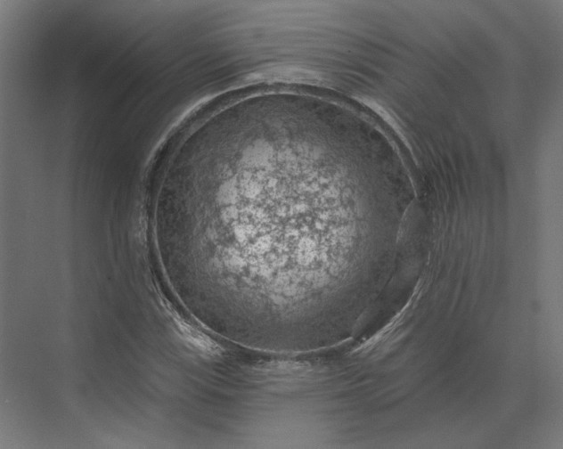 X0000074041115200609061200