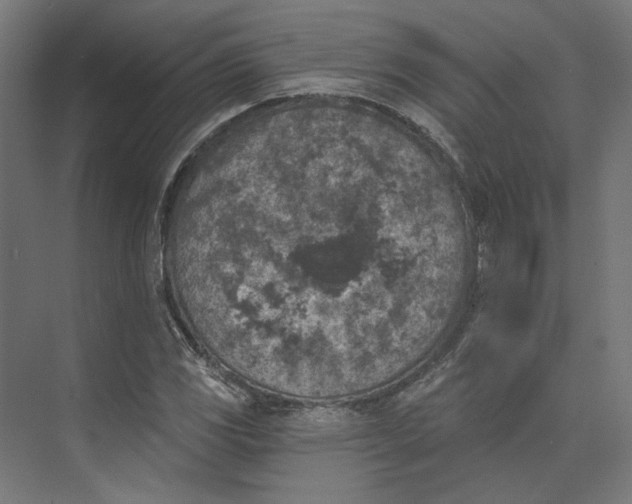 X0000074041117200609061200