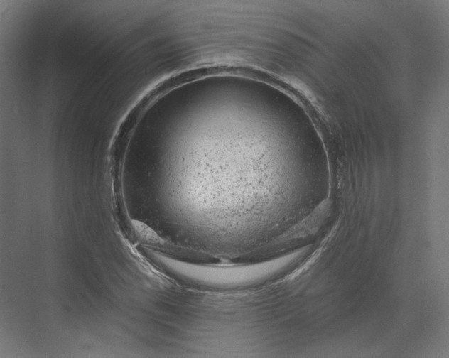 X0000074041118200609061200